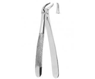 Extracting Forceps English pattern